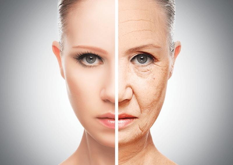 Спадът в нивата на естроген – враг № 1 на младата и гладка кожа при жените Спадът в нивата на естроген – враг № 1 на младата и гладка кожа при жените