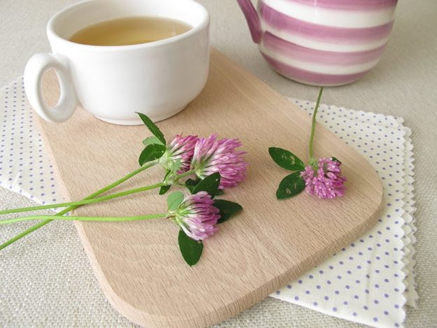 фитоестрогени фитоестрогени