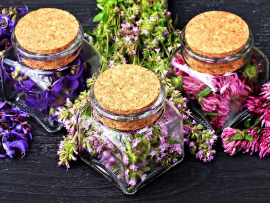 Фитоестрогените безопасни ли са